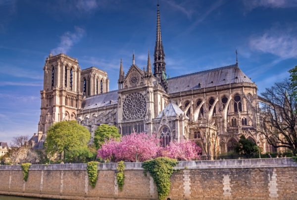 atelier de la boiserie, Notre Dame de Paris, Église, rénovation, ébéniste d'art, ébéniste, savoir-faire, bois, Notre Dame