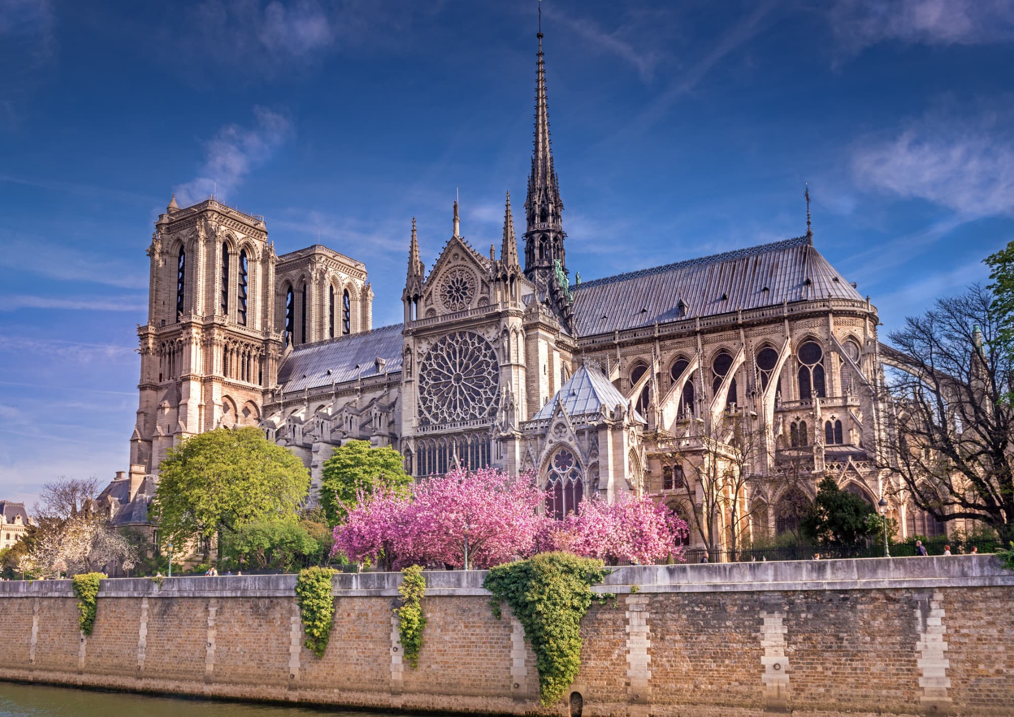 Rebâtir notre dame de paris !